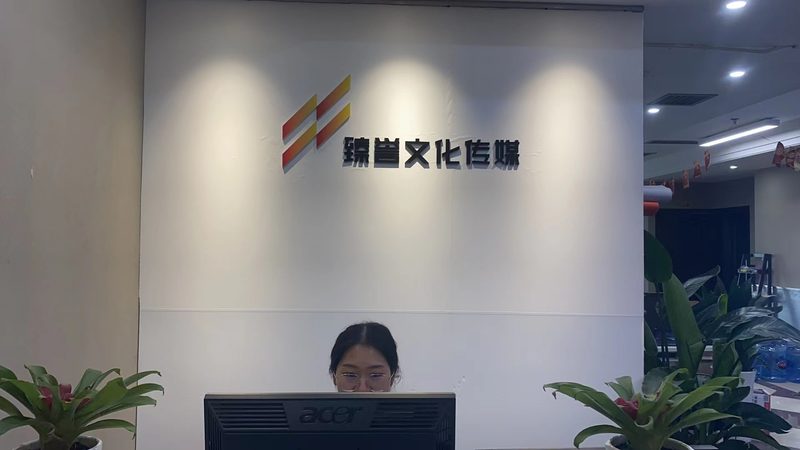 宣传片拍摄风格与脚本设计的艺术与科学